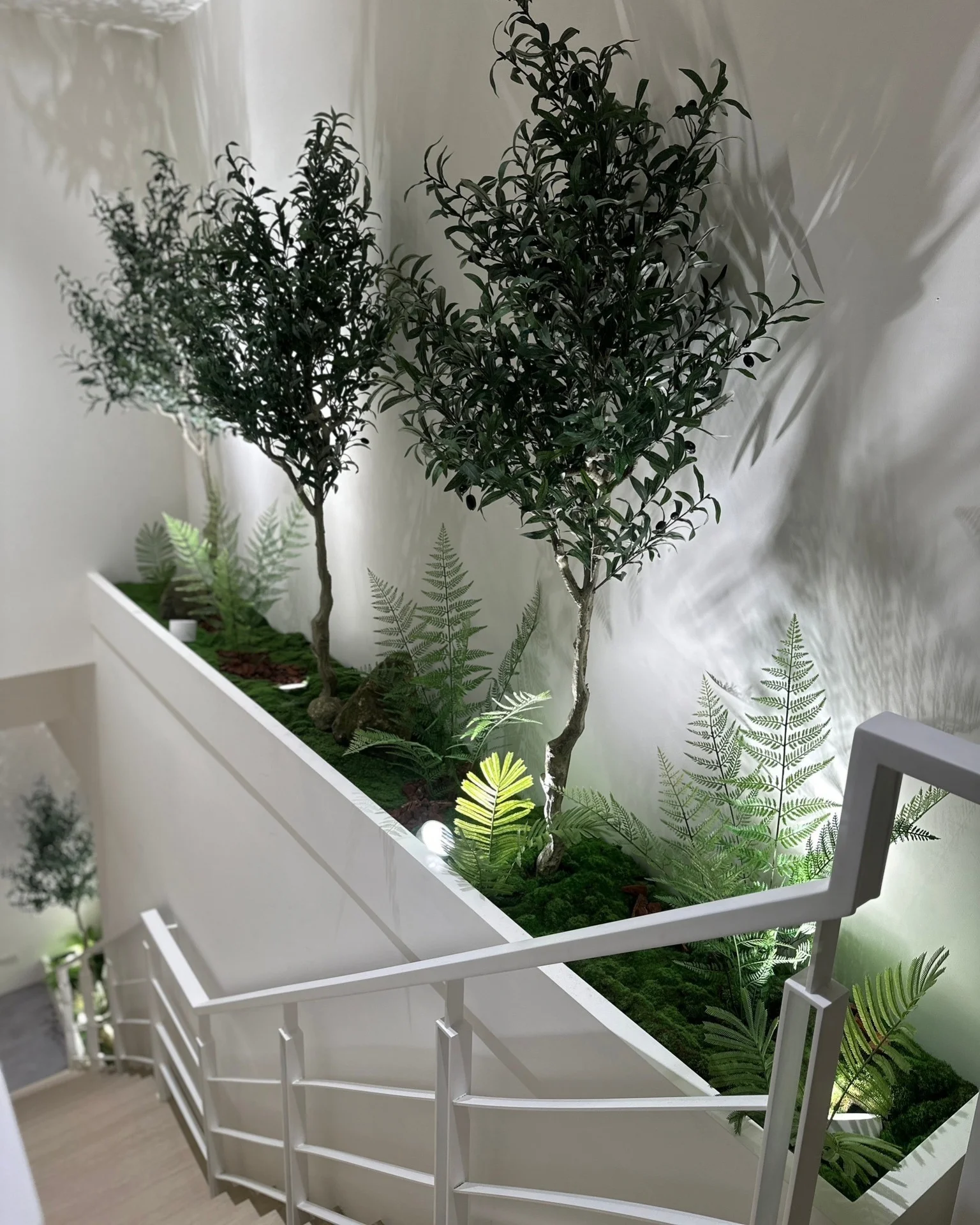 白色長型花盆內種有兩棵樹狀植物和數株蕨類,置於室內白色牆壁前,旁邊有黑色扶手欄杆