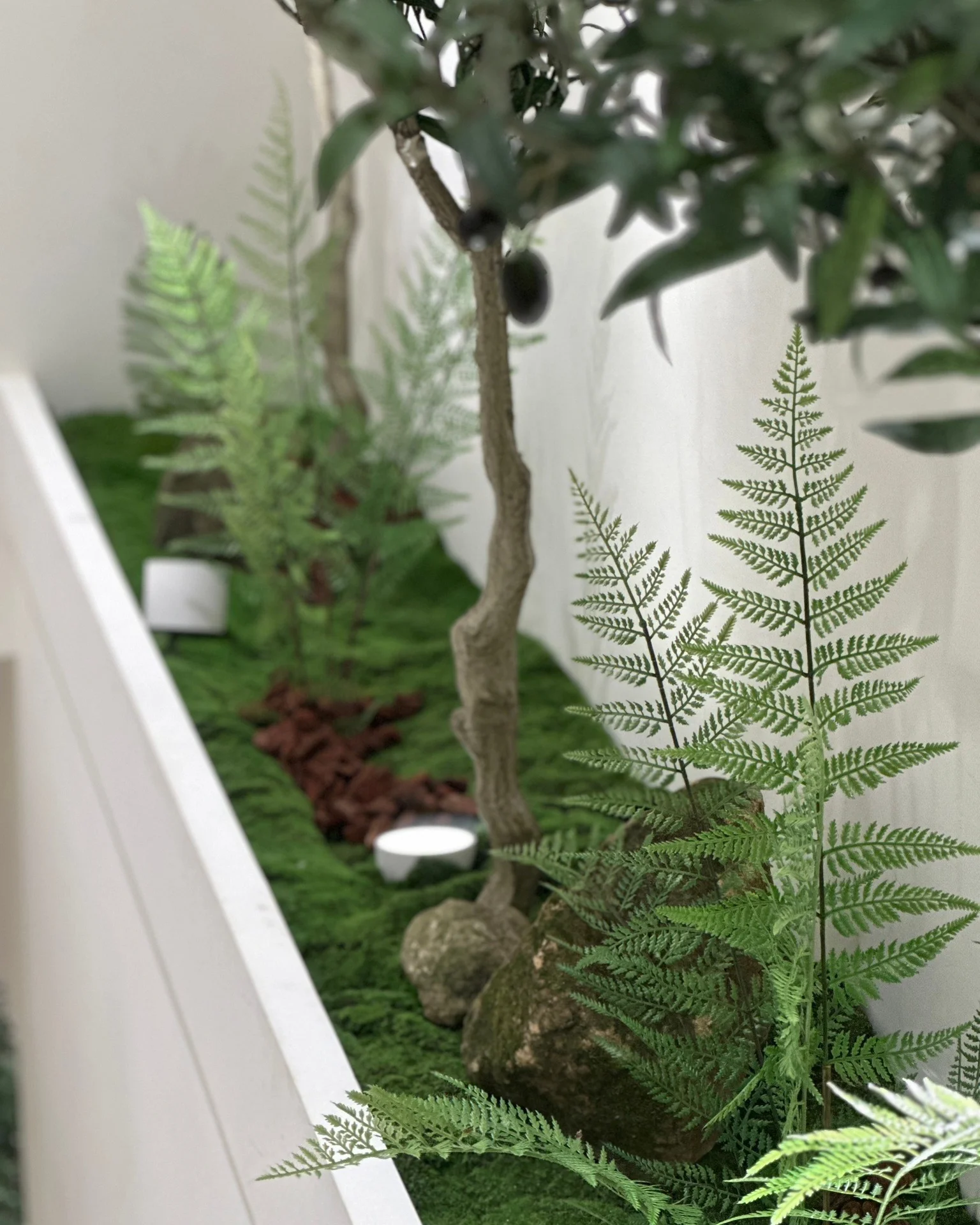 白色方形容器內種植蕨類植物和其他綠色植物,搭配褐色木質裝飾和青苔,背景為白牆