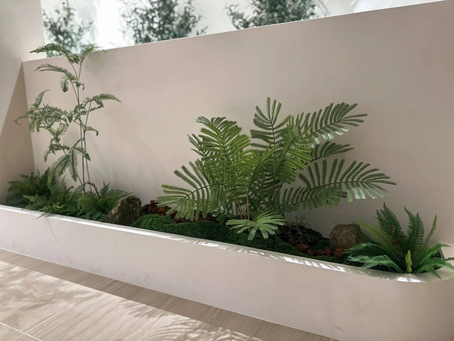 白色長型花盆內種植羽狀綠葉植物和蕨類,背後是米白色牆面,盆前方為木質地板