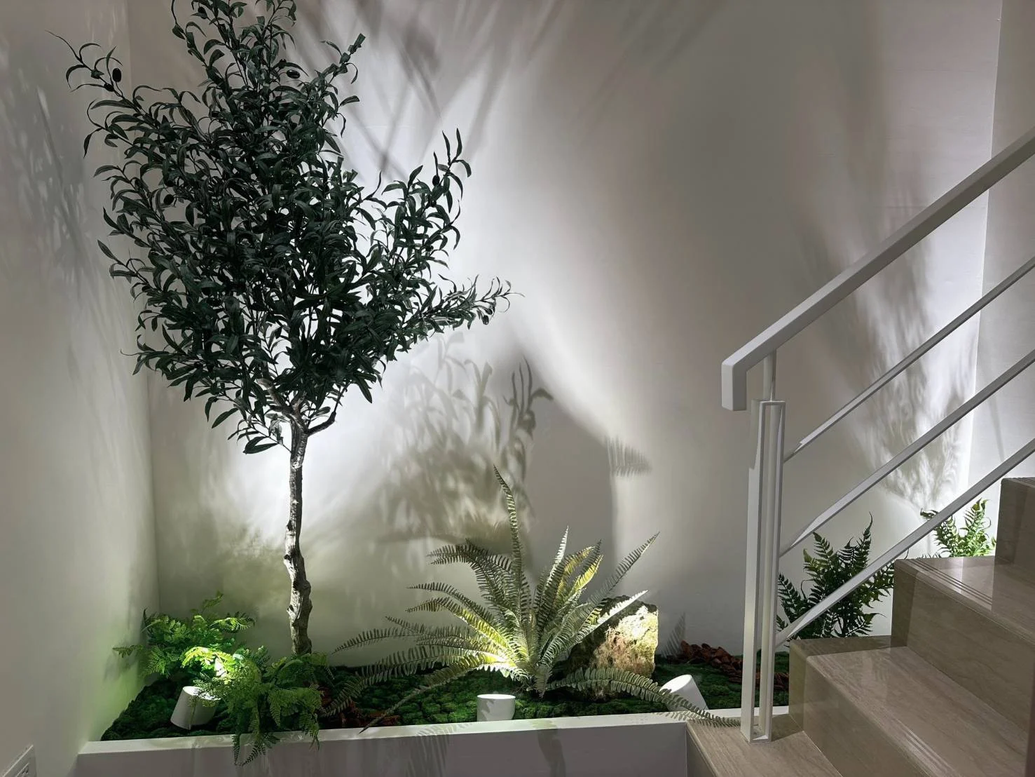 現代樓梯旁的白色長形花盆內,種植著高莖植物、蕨類和低矮綠葉植物,陽光照射投影在白牆上