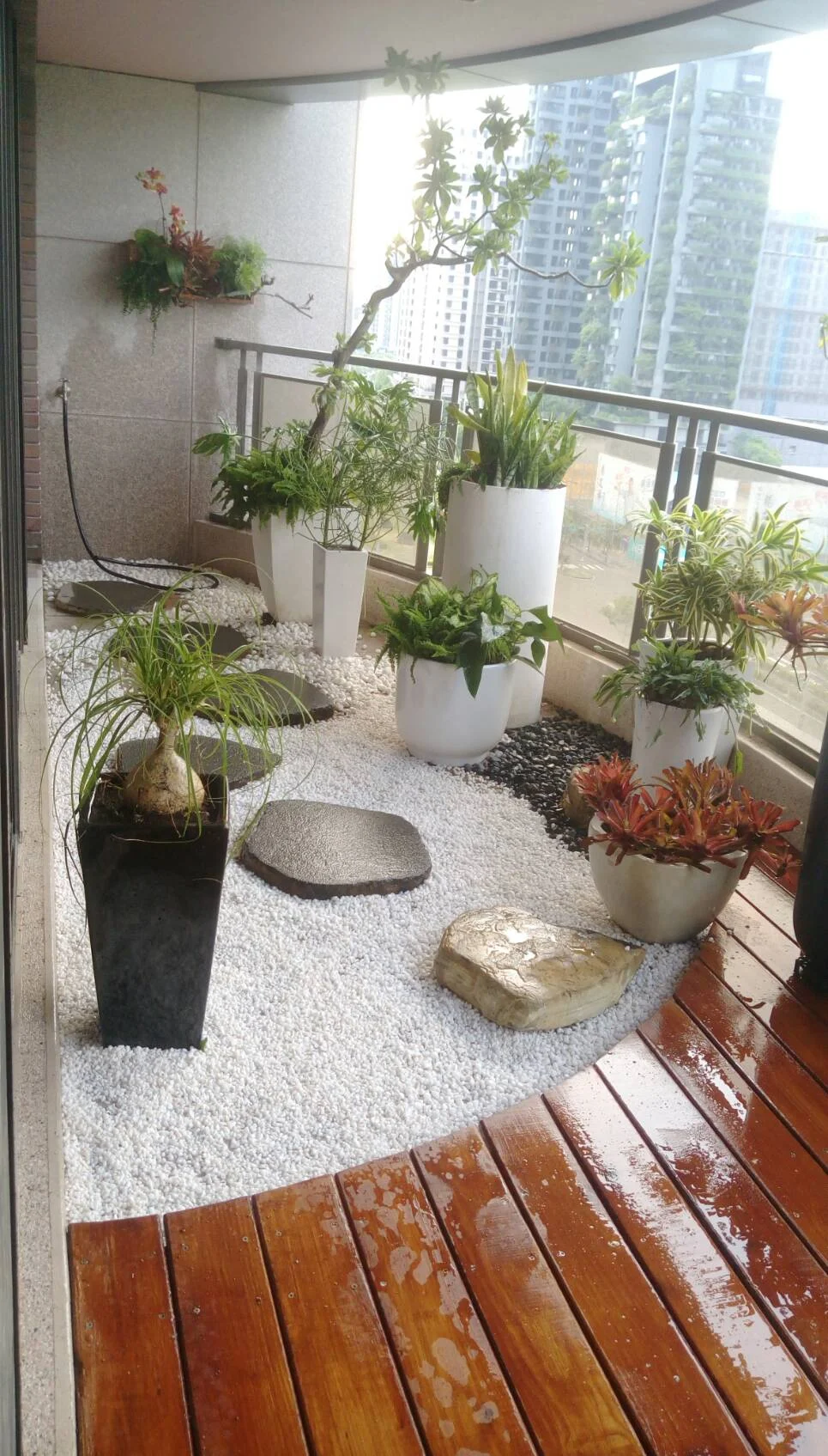 高樓陽台上擺放多個白色與黑色花盆,種植各式綠色植物與紅褐色花卉,地面鋪白色碎石與木製踏板