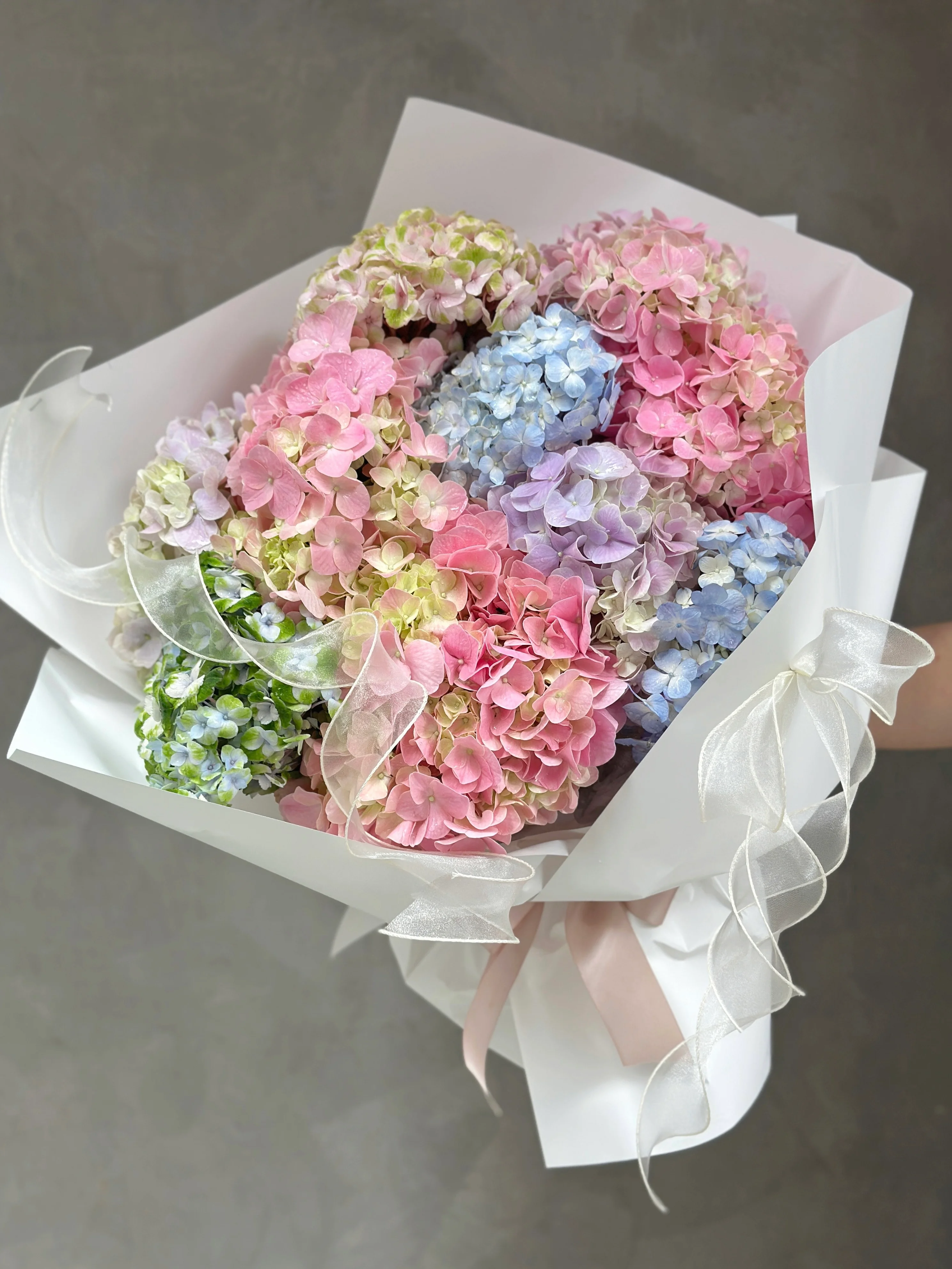 柔光花境
